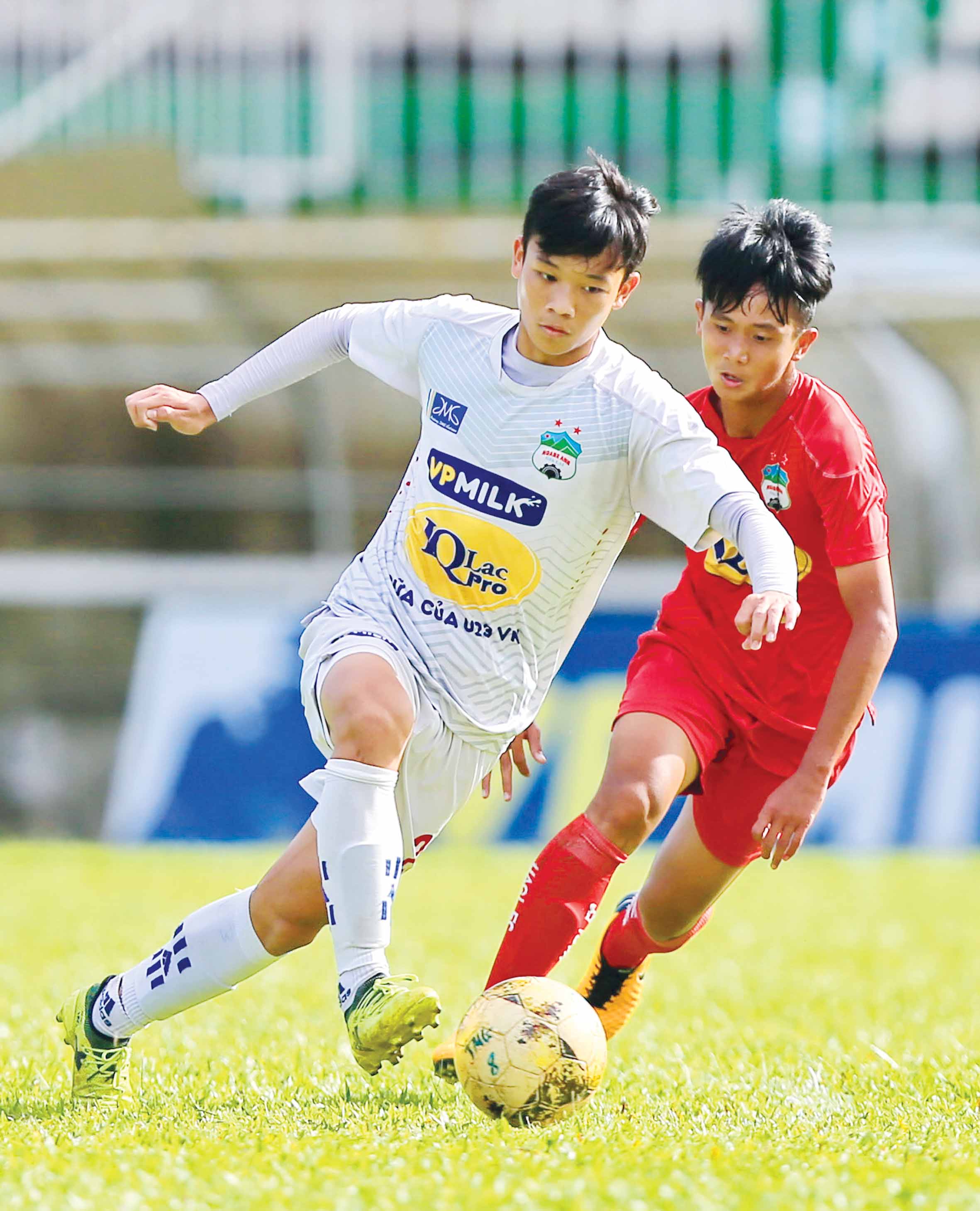 Vo Huu Viet Hoang duoc chuyen gia chau Au danh gia cao