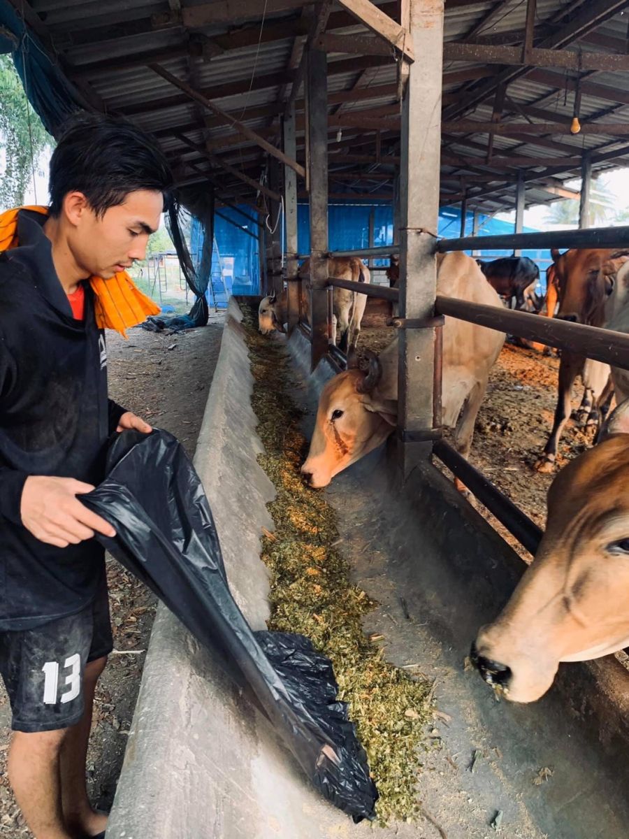 Vua pha luoi u23 chau A ve que chan bo